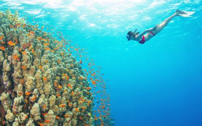 Diving Calabria: The 5 best places where to snorkel and dive